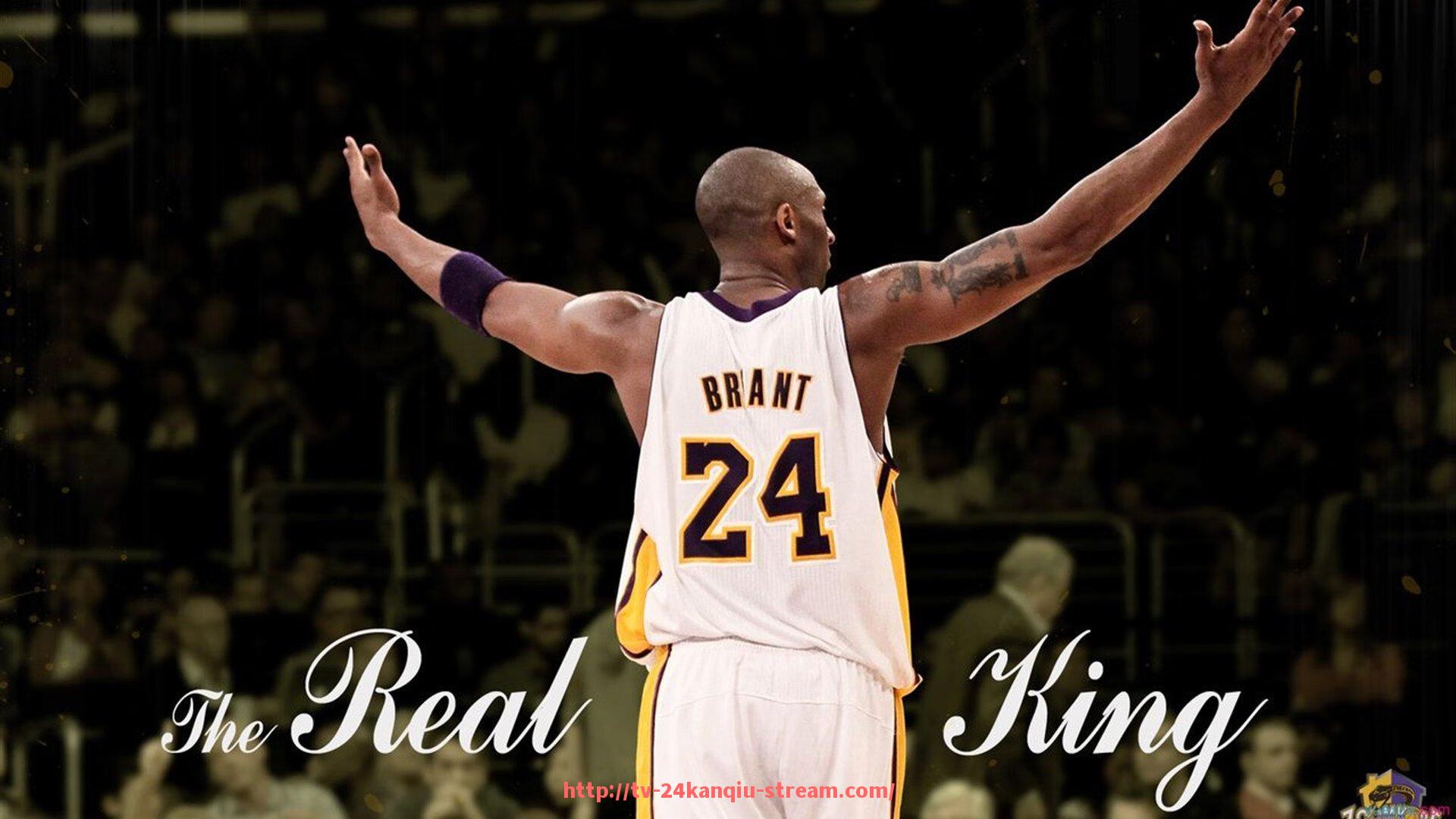 24看球直播网-星驰健身器材厂家产品介绍与市场评价